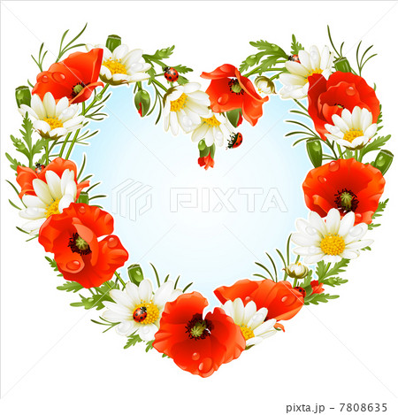 Vector flower frame in the shape of heart. Poppy and Camomile 7808635