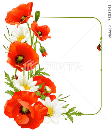 Vector flower frame 8. Poppy and Camomile 7808641