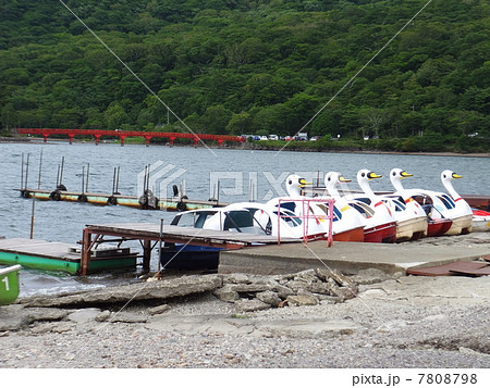 湖に浮かぶアヒルボートと赤い橋 7808798