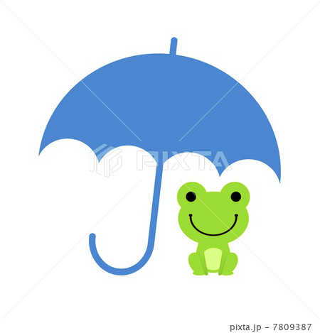 雨宿りするカエル 7809387