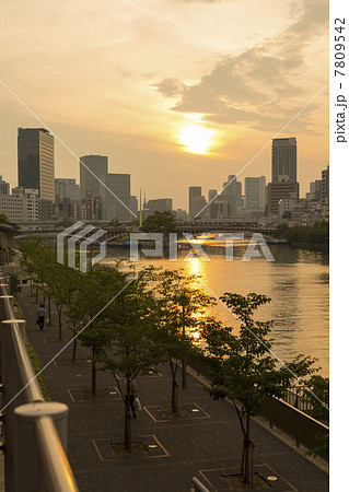 夕暮れの大川 夕暮れの大川 7809542