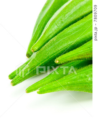 新鮮なオクラ 7809709