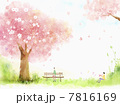 illustration of a relaxing landscape 7816169
