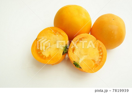 イエロートマト 黄寿 イエロートマト 黄寿 7819939