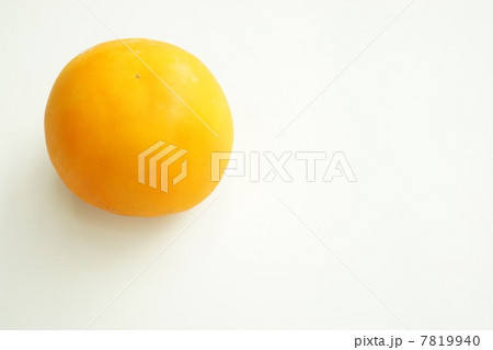 イエロートマト　黄寿 7819940