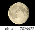 満月 7820022