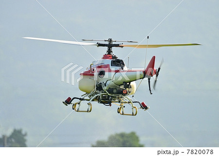 ラジコンへりによる稲穂の農薬散布 7820078