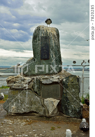 八戸散歩 海防艦稲木之碑 蕪嶋神社 国天然記念物ウミネコ繁殖地の写真素材 7820285 Pixta