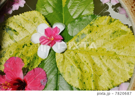 water cup with beautiful flowers background 7820687