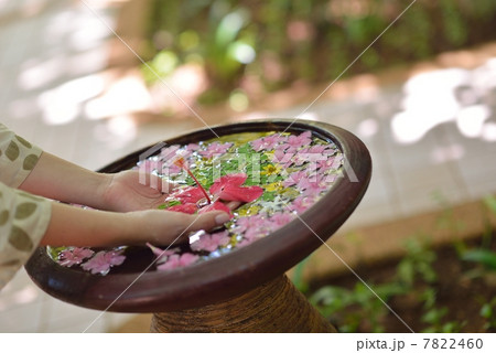 female hand and flower in water female hand and flower in water 7822460