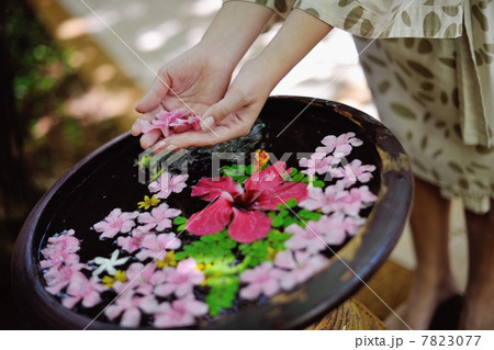 female hand and flower in water 7823077