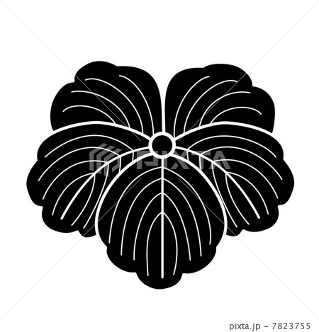 女紋　つた 7823755