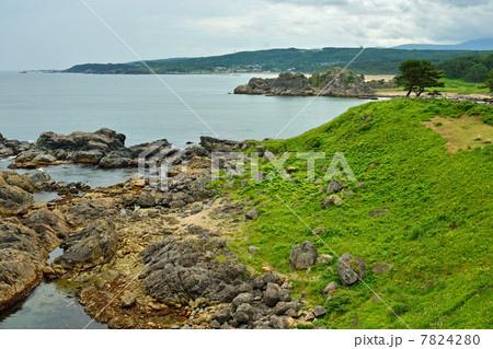 八戸散歩・葦毛崎　種差海岸 7824280
