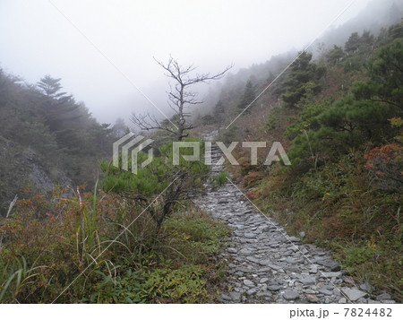 別子山 別子山 7824482