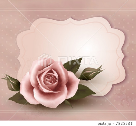 Retro greeting card with pink rose. Vector illustration Retro greeting card with pink rose. Vector illustration 7825531