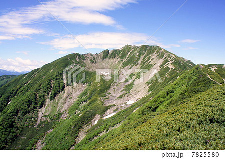 仙丈ヶ岳 仙丈ヶ岳 7825580