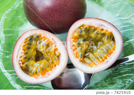 パッションフルーツ パッションフルーツ 7825910