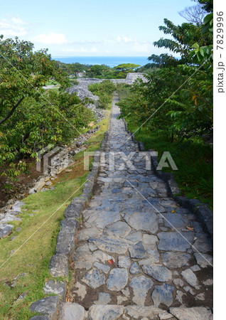 今帰仁城の大手道（沖縄県国頭郡今帰仁村） 7829996