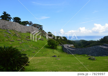 今帰仁城･主郭外側の石垣（沖縄県国頭郡今帰仁村） 7829997