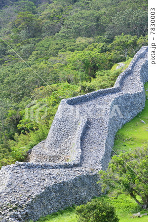 今帰仁城･主郭外側の石垣（沖縄県国頭郡今帰仁村） 7830003