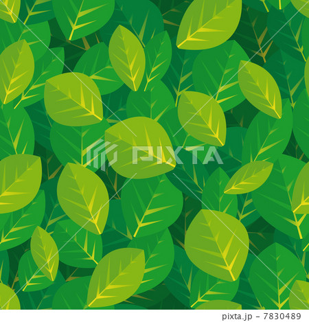 Leaves background / seamless pattern Leaves background / seamless pattern 7830489