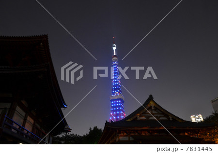 東京タワードラえもんライトアップの写真素材