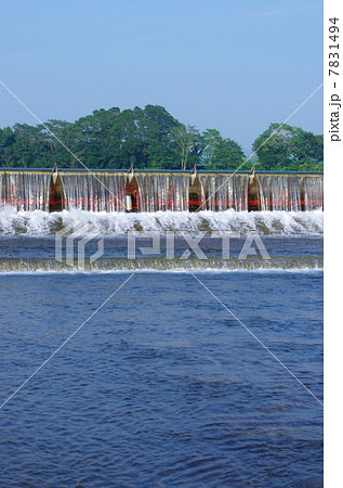 浄水場の取水堰 7831494