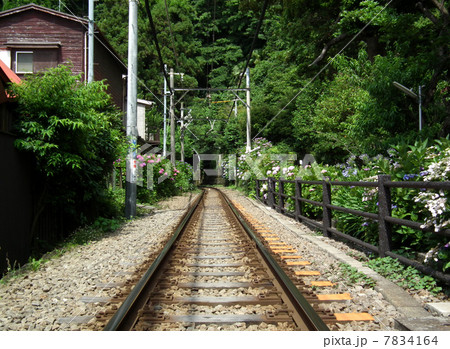 江ノ電　長谷駅付近 7834164