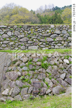 棚田の石垣に鉄梯子 棚田の石垣に鉄梯子 7834418