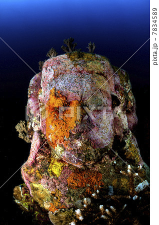 Underwater Buddha 7834589