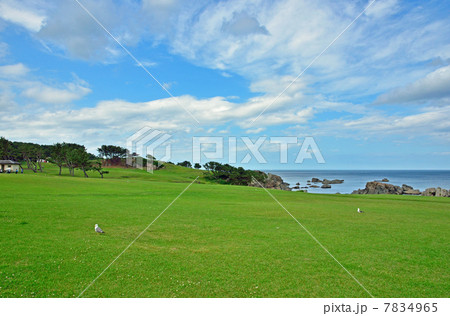 八戸散歩・種差天然芝生地　種差海岸 7834965