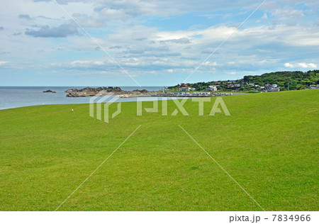 八戸散歩・種差天然芝生地　種差海岸 7834966