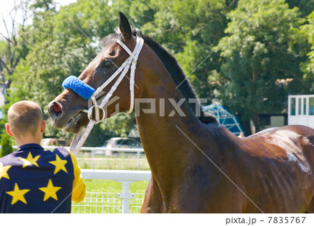 The Winner. The Winner. 7835767