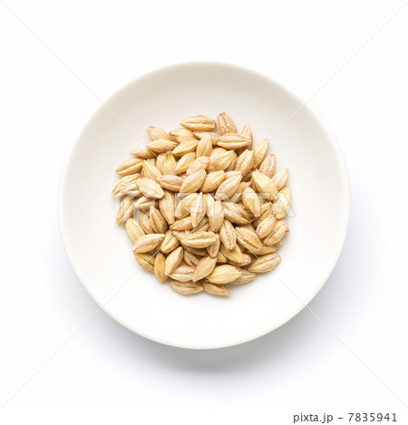 二条大麦 7835941