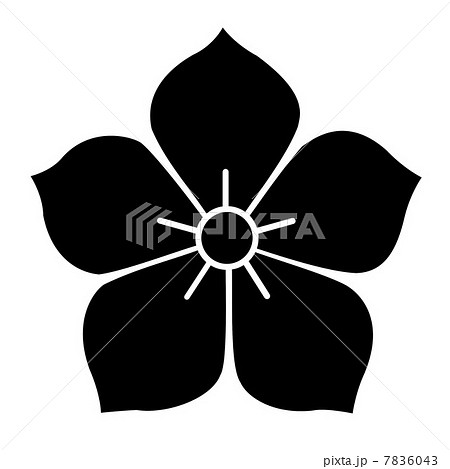 家紋　桔梗 7836043