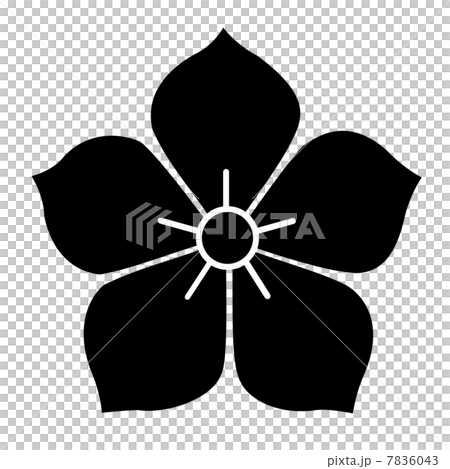 家紋　桔梗 7836043