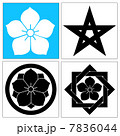 桔梗紋 7836044