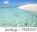はての浜～砂の島と水色の海 7836333