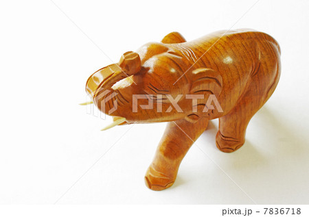 k50459 k50459 7836718