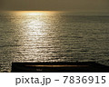 夕方の海 7836915