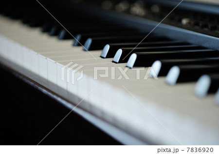 ピアノの鍵盤 7836920