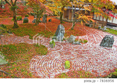 光明禅寺の紅葉 7836956