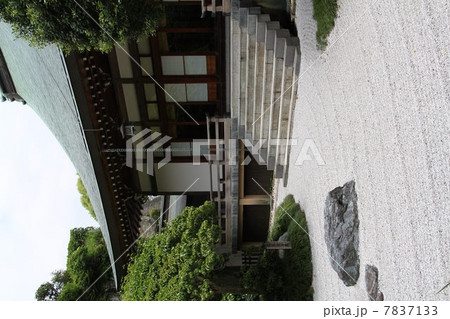 報国寺の石庭 7837133