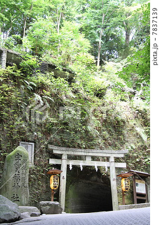 銭洗弁天の鳥居 7837139