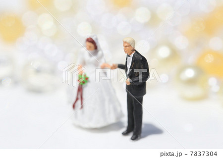 新郎新婦　 7837304