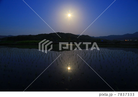 水田と満月 7837333