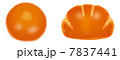 菓子パン 7837441
