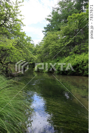 初夏の湯川 初夏の湯川 7837671