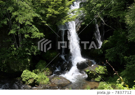 初夏の竜頭の滝 初夏の竜頭の滝 7837712