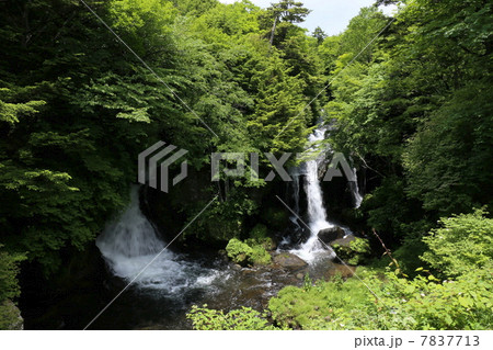 栃木県日光市　初夏の竜頭の滝 7837713